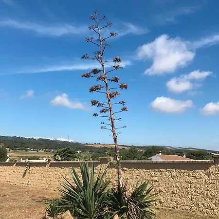Casa Altamar Holiday home *